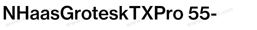 NHaasGroteskTXPro 55字体转换